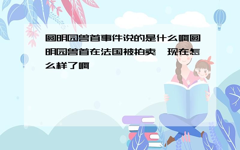 圆明园兽首事件说的是什么啊圆明园兽首在法国被拍卖,现在怎么样了啊