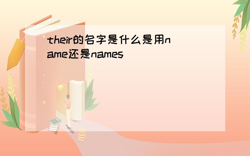 their的名字是什么是用name还是names