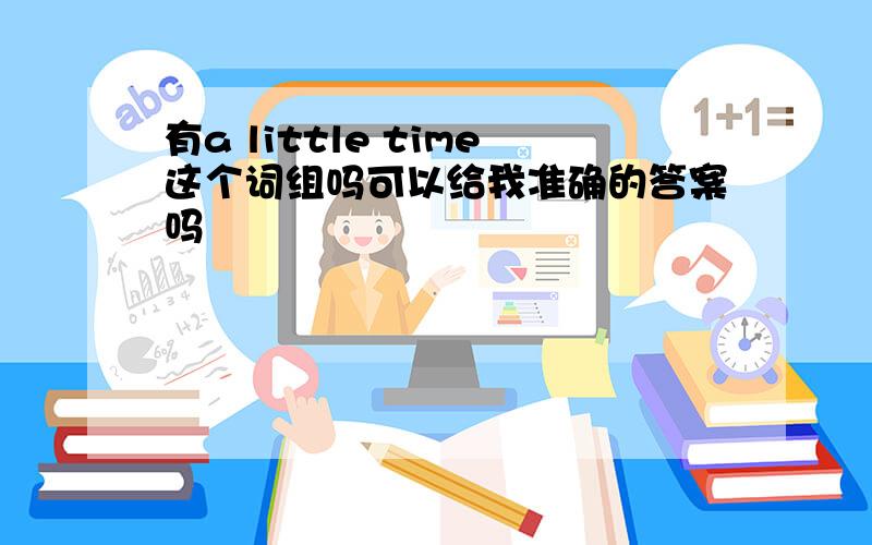 有a little time这个词组吗可以给我准确的答案吗