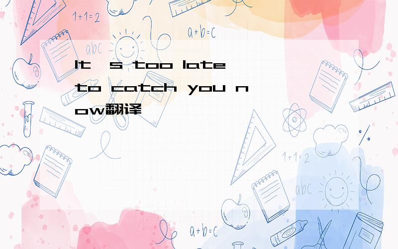 It's too late to catch you now翻译