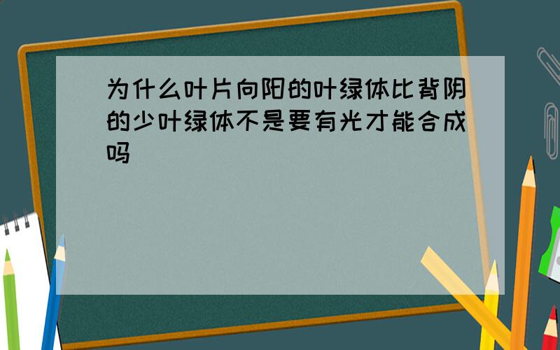 为什么叶片向阳的叶绿体比背阴的少叶绿体不是要有光才能合成吗