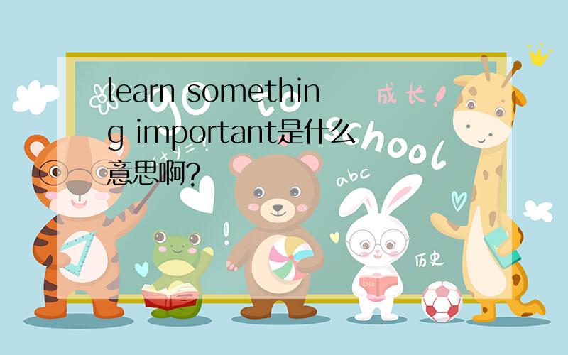 learn something important是什么意思啊?