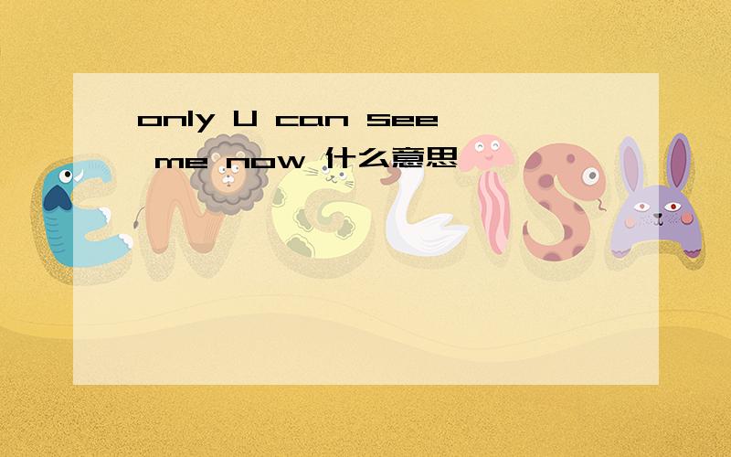 only U can see me now 什么意思