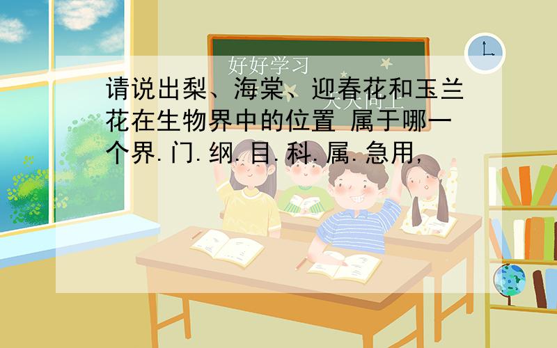 请说出梨、海棠、迎春花和玉兰花在生物界中的位置 属于哪一个界.门.纲.目.科.属.急用,