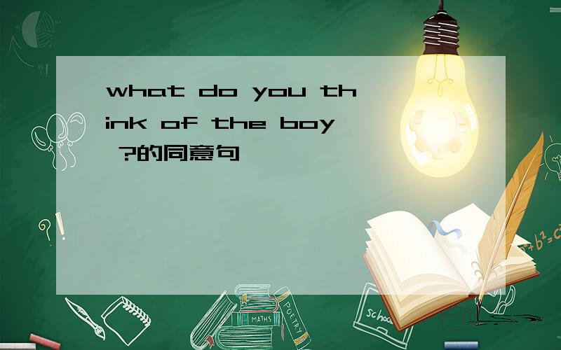 what do you think of the boy ?的同意句