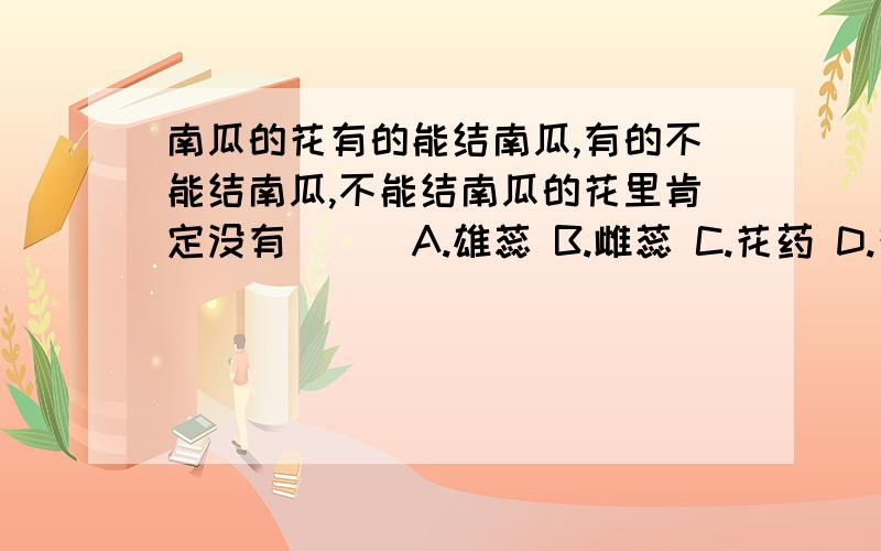 南瓜的花有的能结南瓜,有的不能结南瓜,不能结南瓜的花里肯定没有（ ) A.雄蕊 B.雌蕊 C.花药 D.花瓣