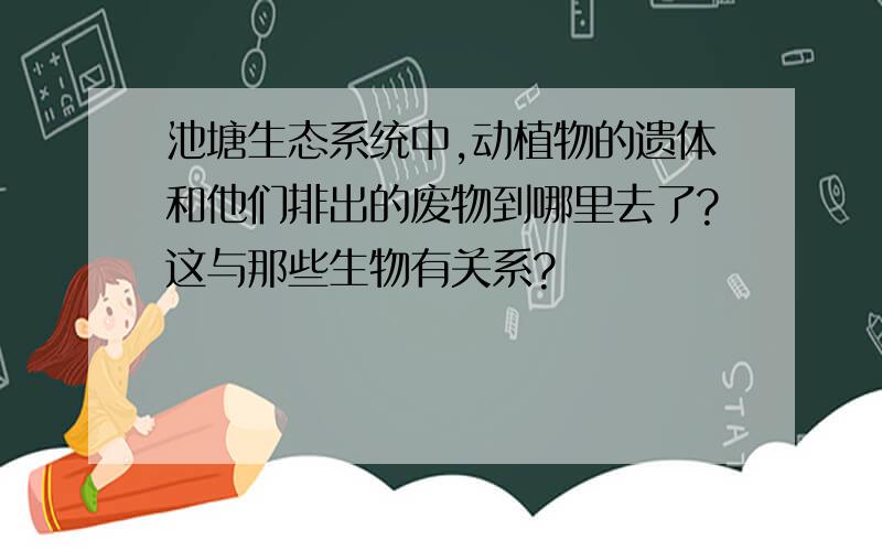 池塘生态系统中,动植物的遗体和他们排出的废物到哪里去了?这与那些生物有关系?