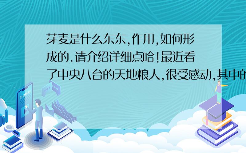 芽麦是什么东东,作用,如何形成的.请介绍详细点哈!最近看了中央八台的天地粮人,很受感动,其中的芽麦不太了解,请介绍详细点,谢谢了!有什么用途