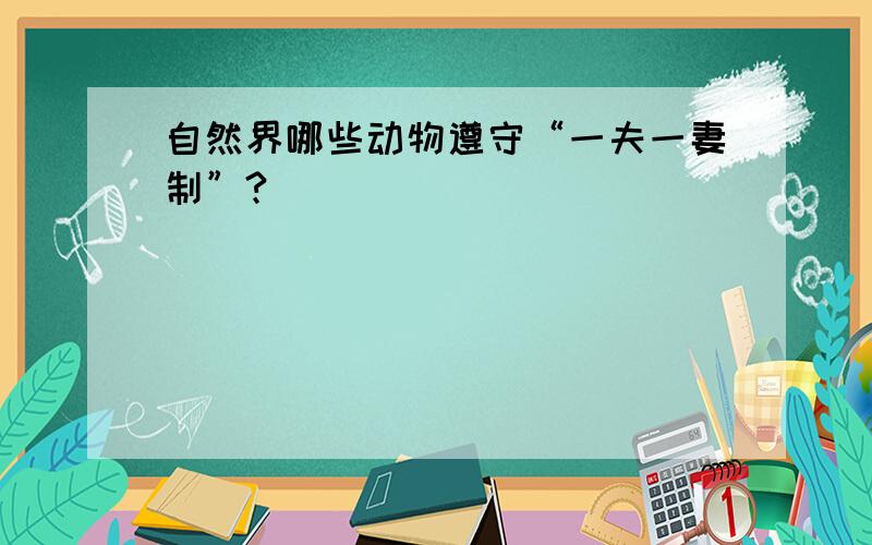 自然界哪些动物遵守“一夫一妻制”?