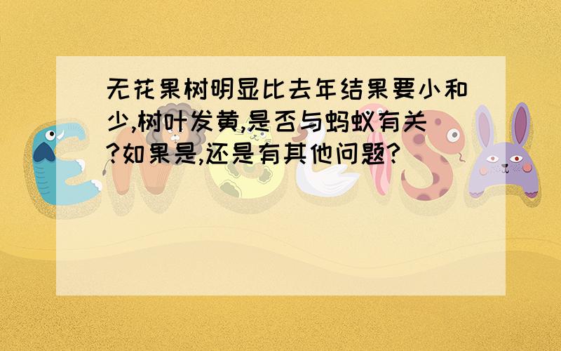 无花果树明显比去年结果要小和少,树叶发黄,是否与蚂蚁有关?如果是,还是有其他问题?