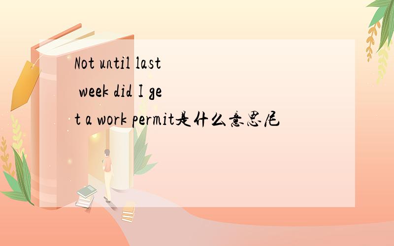 Not until last week did I get a work permit是什么意思尼