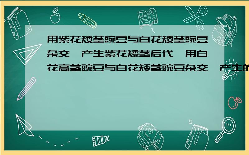 用紫花矮茎豌豆与白花矮茎豌豆杂交,产生紫花矮茎后代,用白花高茎豌豆与白花矮茎豌豆杂交,产生的后代为白花高茎,则在这两对相对性状中,显性性状是?求详解A 高 B 矮 C 紫 矮 D 高