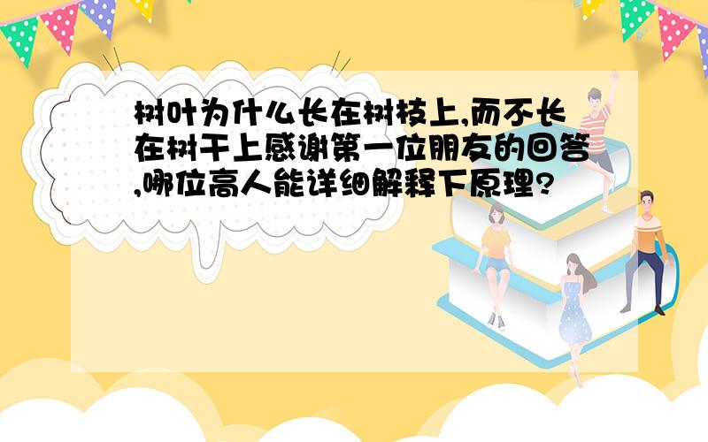 树叶为什么长在树枝上,而不长在树干上感谢第一位朋友的回答,哪位高人能详细解释下原理?