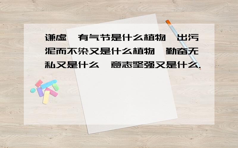 谦虚,有气节是什么植物,出污泥而不染又是什么植物,勤奋无私又是什么,意志坚强又是什么.