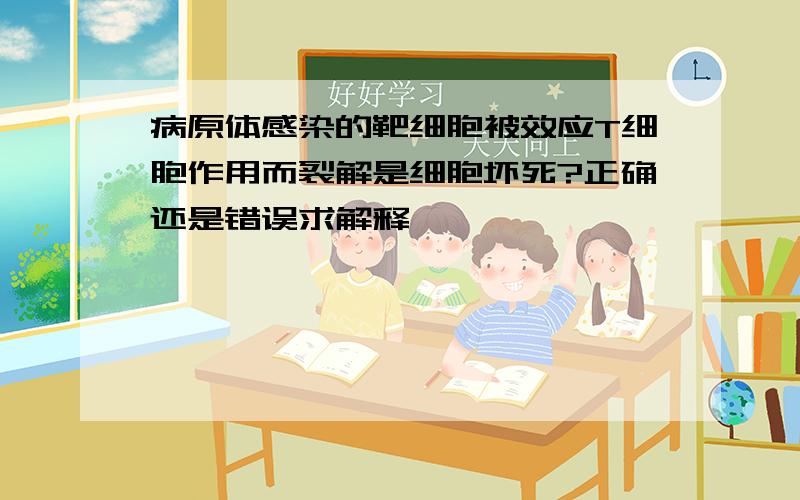 病原体感染的靶细胞被效应T细胞作用而裂解是细胞坏死?正确还是错误求解释