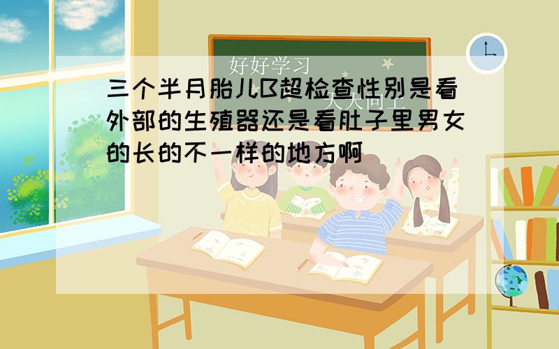 三个半月胎儿B超检查性别是看外部的生殖器还是看肚子里男女的长的不一样的地方啊