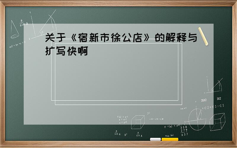 关于《宿新市徐公店》的解释与扩写快啊``