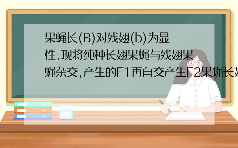 果蝇长(B)对残翅(b)为显性.现将纯种长翅果蝇与残翅果蝇杂交,产生的F1再自交产生F2果蝇长翅（B）对残翅（b）为显性,现将纯种长翅果蝇与残翅果蝇杂交,产生的Fl代再自交产生F2代,将F2代中所