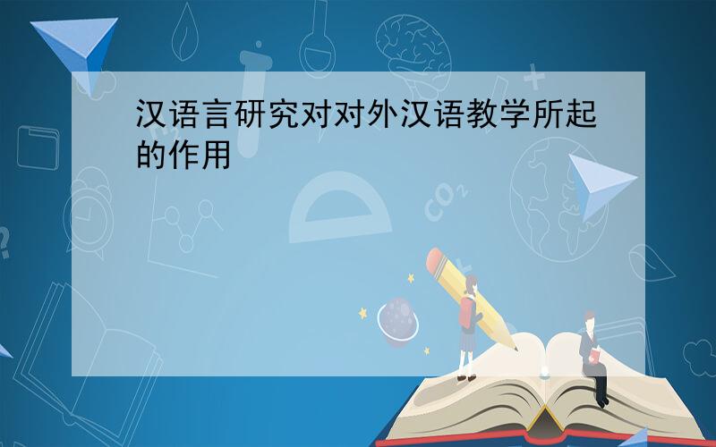 汉语言研究对对外汉语教学所起的作用