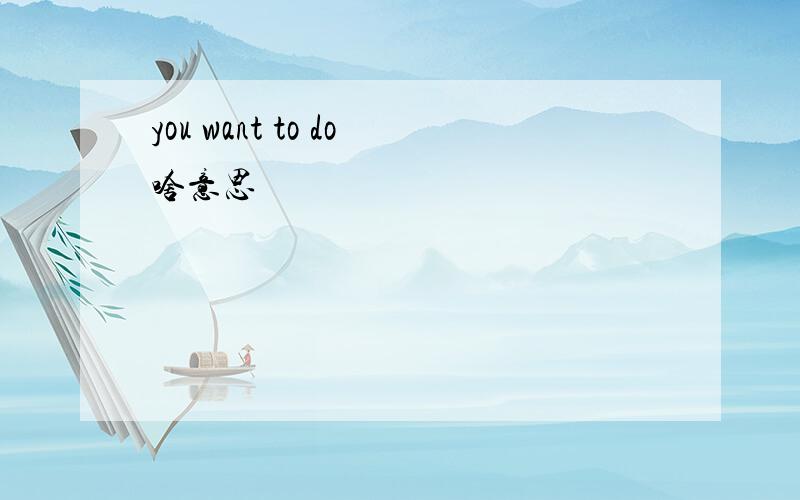 you want to do啥意思