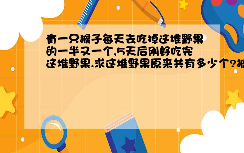 有一只猴子每天去吃掉这堆野果的一半又一个,5天后刚好吃完这堆野果.求这堆野果原来共有多少个?猴子每天吃多少个野果?