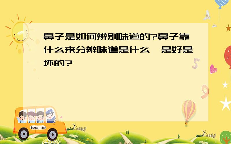 鼻子是如何辨别味道的?鼻子靠什么来分辨味道是什么,是好是坏的?