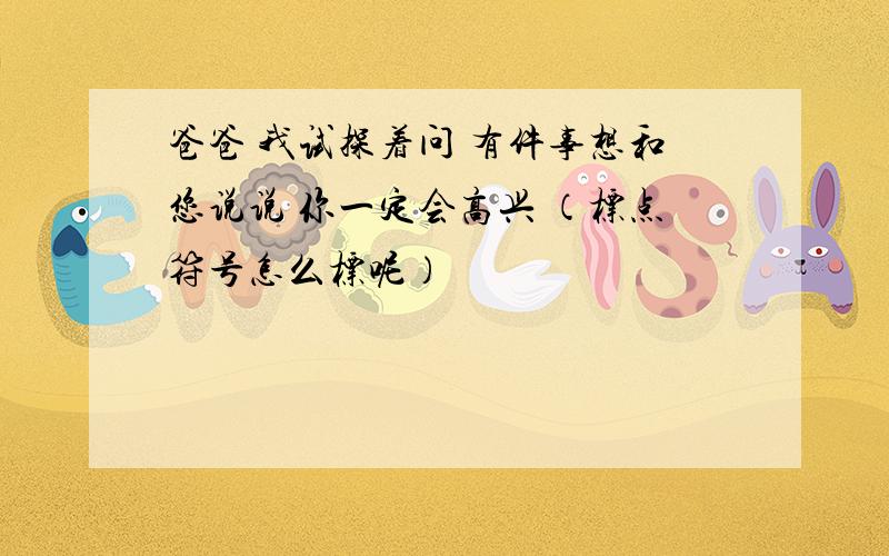 爸爸 我试探着问 有件事想和您说说 你一定会高兴 （标点符号怎么标呢）