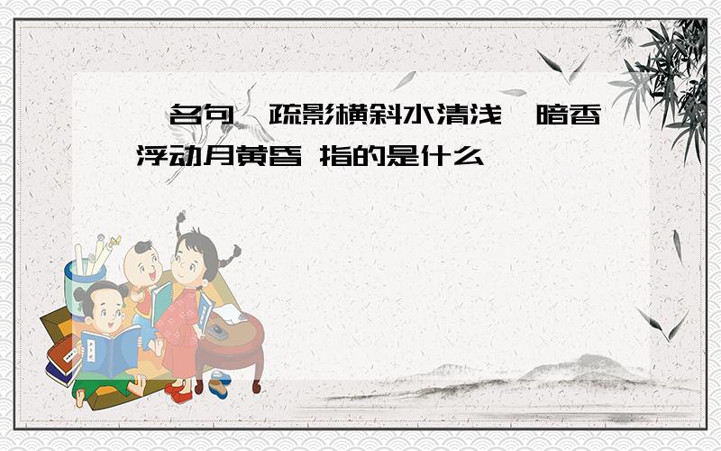 【名句】疏影横斜水清浅,暗香浮动月黄昏 指的是什么