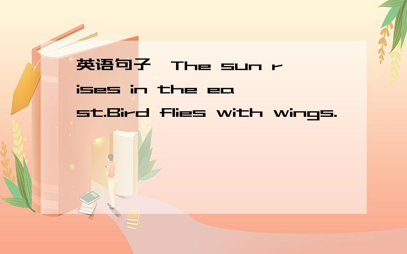 英语句子,The sun rises in the east.Bird flies with wings.