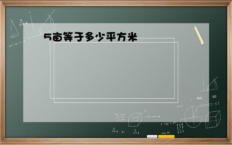 5亩等于多少平方米