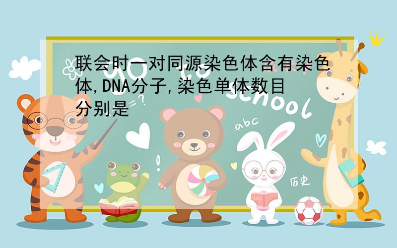 联会时一对同源染色体含有染色体,DNA分子,染色单体数目分别是