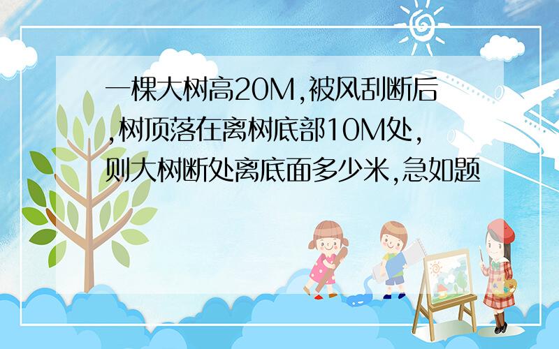 一棵大树高20M,被风刮断后,树顶落在离树底部10M处,则大树断处离底面多少米,急如题