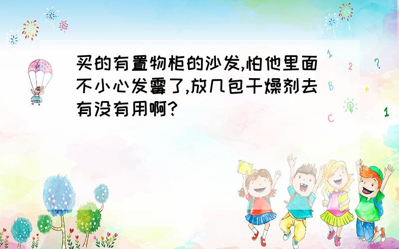 买的有置物柜的沙发,怕他里面不小心发霉了,放几包干燥剂去有没有用啊?