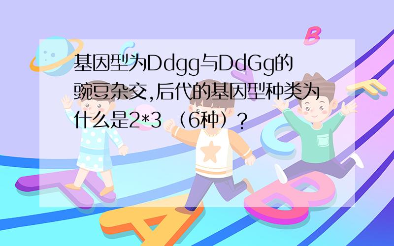 基因型为Ddgg与DdGg的豌豆杂交,后代的基因型种类为什么是2*3 （6种）?