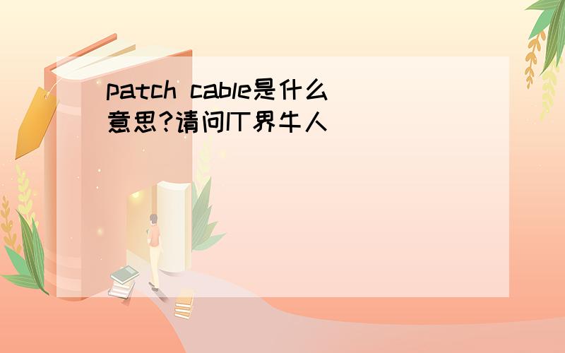 patch cable是什么意思?请问IT界牛人