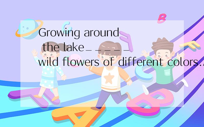 Growing around the lake_____wild flowers of different colors.A.is B.are这个题为什么选B?是个什么句型?