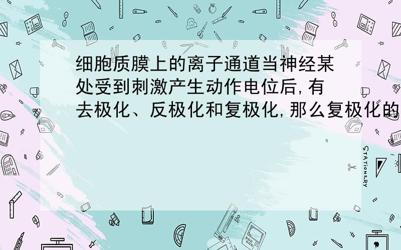 细胞质膜上的离子通道当神经某处受到刺激产生动作电位后,有去极化、反极化和复极化,那么复极化的过程是钾通道开放,钾离子很快涌出膜外,恢复电位后钠钾泵再进行排钠进钾对吗?