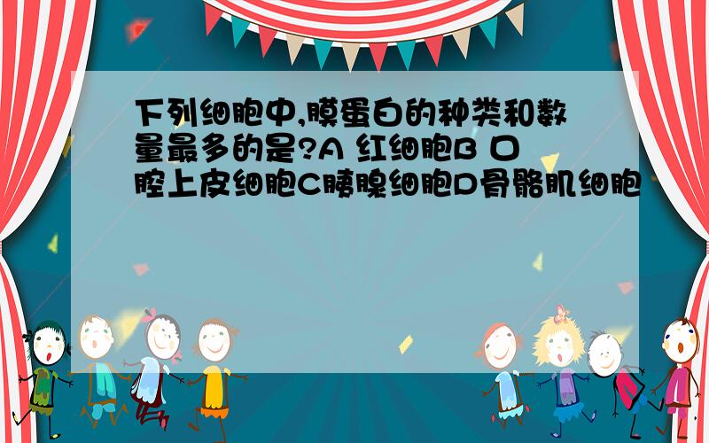 下列细胞中,膜蛋白的种类和数量最多的是?A 红细胞B 口腔上皮细胞C胰腺细胞D骨骼肌细胞