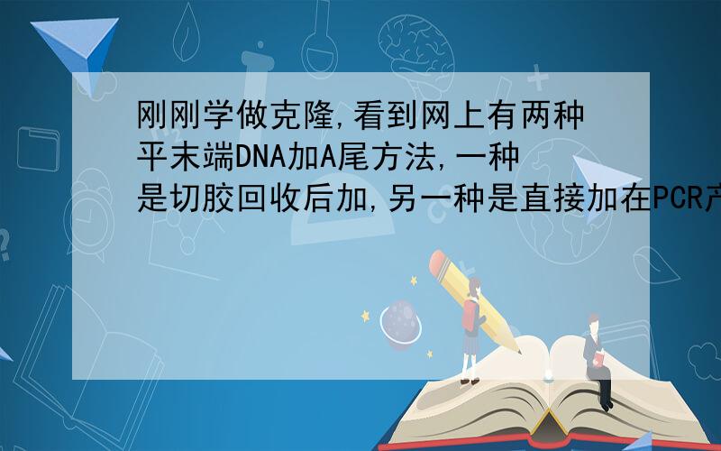 刚刚学做克隆,看到网上有两种平末端DNA加A尾方法,一种是切胶回收后加,另一种是直接加在PCR产物中,想请问：1.第二种加A方法,加Taq酶和dNTPs了,还要不要加buffer~2.是在PCR 72度延伸时暂停加效果