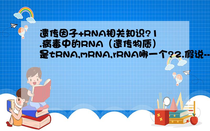 遗传因子+RNA相关知识?1.病毒中的RNA（遗传物质）是tRNA,mRNA,rRNA哪一个?2.假说--演绎法是现代科学研究中常用的一种科学方法,下列属于孟德尔在发现基因分离定律时的“演绎”过程是：A.生物