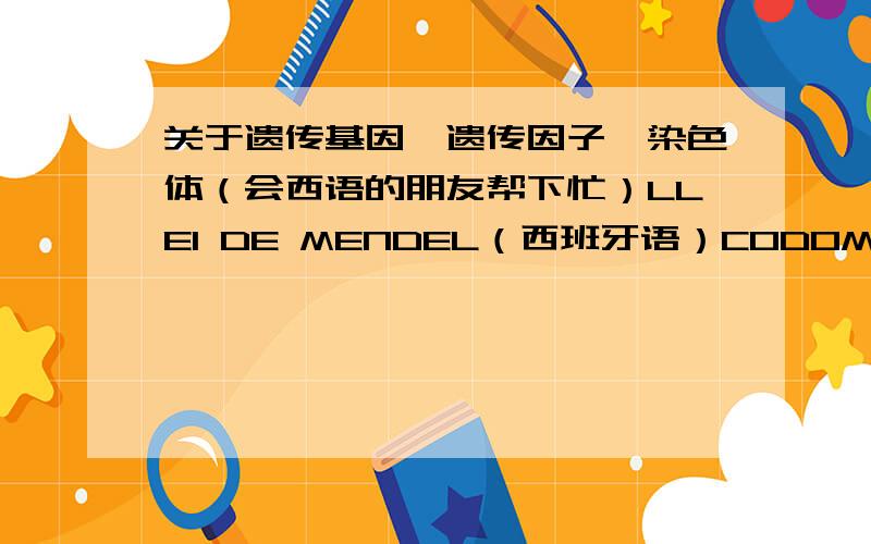 关于遗传基因,遗传因子,染色体（会西语的朋友帮下忙）LLEI DE MENDEL（西班牙语）CODOMINANCIA还有突变,比如白化动物（白虎）变异的种类还有关于遗传的 什么 NN 和 NB 可能的四种类型 NN NB NN NB