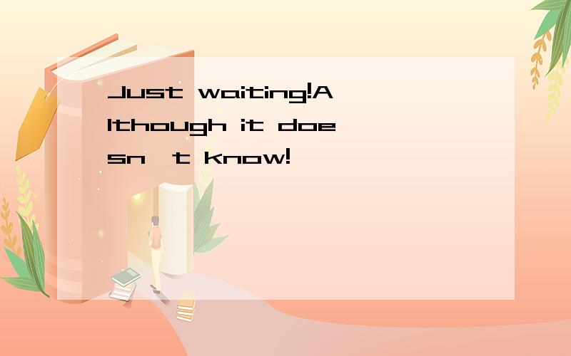 Just waiting!Although it doesn't know!