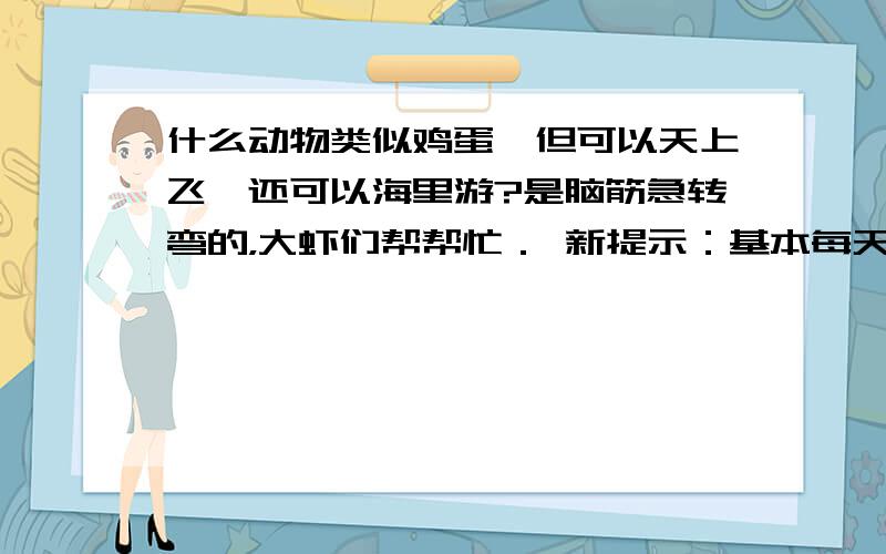 什么动物类似鸡蛋,但可以天上飞,还可以海里游?是脑筋急转弯的，大虾们帮帮忙． 新提示：基本每天每个人都会说的三个字，