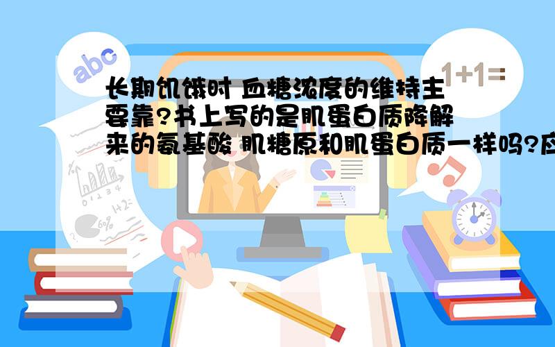 长期饥饿时 血糖浓度的维持主要靠?书上写的是肌蛋白质降解来的氨基酸 肌糖原和肌蛋白质一样吗?应选什么长期饥饿时 血糖浓度的维持主要靠：A.肝糖原分解B.肌糖原分解C.酮体转变成糖D.糖