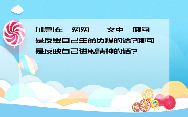 加急!在《匆匆》一文中,哪句是反思自己生命历程的话?哪句是反映自己进取精神的话?