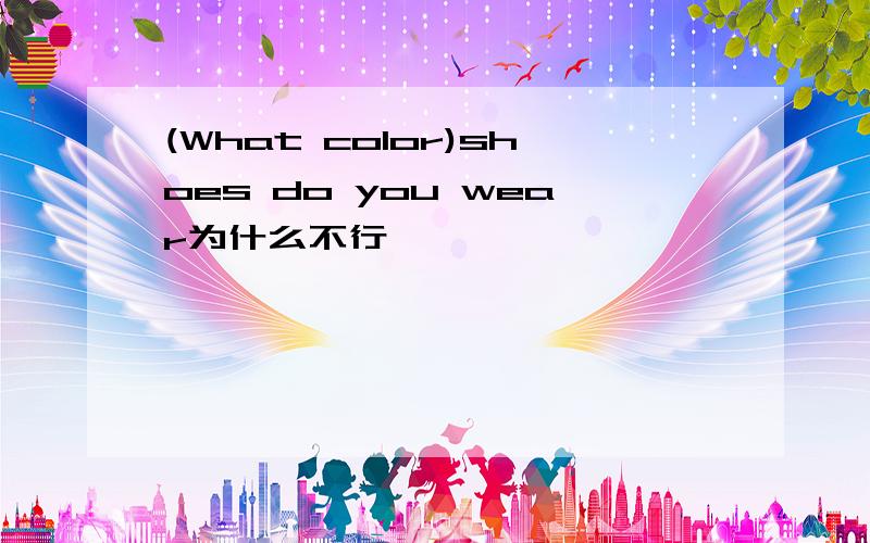 (What color)shoes do you wear为什么不行