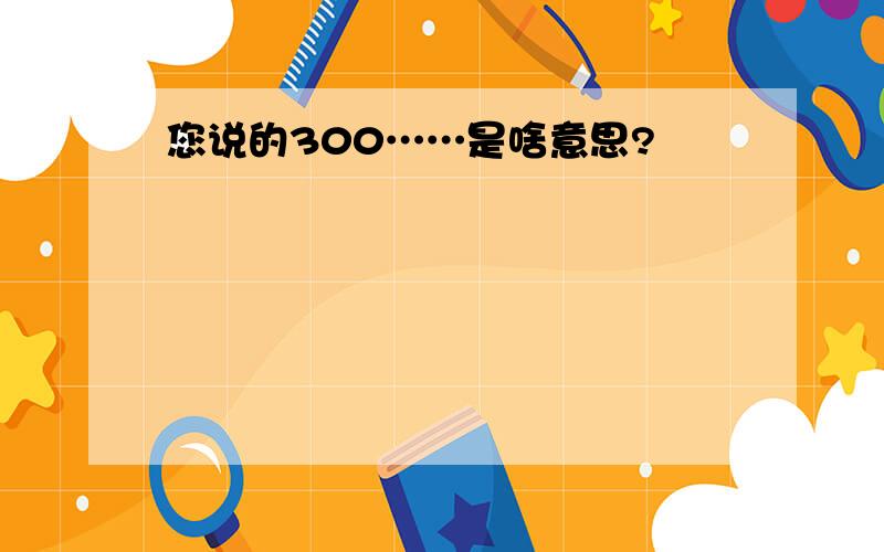 您说的300……是啥意思?