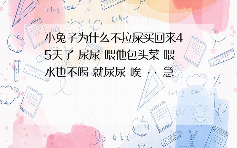 小兔子为什么不拉屎买回来4 5天了 尿尿 喂他包头菜 喂水也不喝 就尿尿 唉 ·· 急