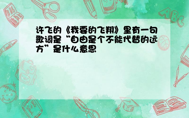 许飞的《我要的飞翔》里有一句歌词是“自由是个不能代替的远方”是什么意思