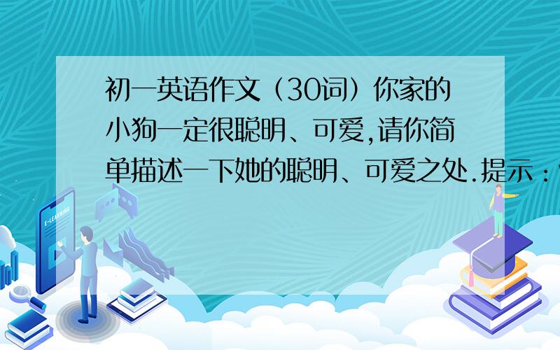 初一英语作文（30词）你家的小狗一定很聪明、可爱,请你简单描述一下她的聪明、可爱之处.提示：white,clever,cute,play,quiet